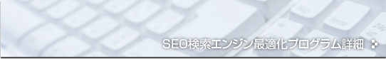 SEO�������󥸥��Ŭ���ץ������ܺ�