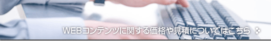 web����ƥ�Ĥ˴ؤ�����ʤ丫�ѤˤĤ��ƤϤ�����